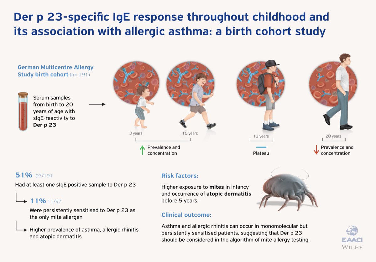 Open access and Editor's choice

Der p 23-specific IgE response throughout childhood and its association with allergic disease: A birth cohort study.

Read the article by Forchert et al here 👉doi.org/10.1111/pai.13… 

#PAI_journal #allergy #asthma #eczema #allergicrhinitis