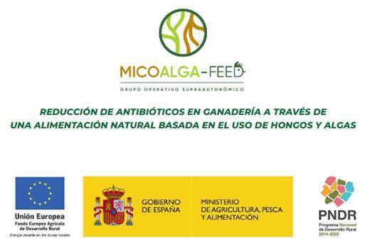 mganadero's tweet photo. NOTICIA 📣 Reducción de #antibióticos en ganadería a través de una #alimentación natural basada en el uso de #hongos y #algas. 🔬

Más información ⬇️
https://t.co/RUyTaRHRQL

#Ganadería #SanidadAnimal 

@opsoms @WHO @micoalga @neoalgae @Grupo_Uvesa @FEUGA_20 #AECA #Fedna https://t.co/WqaejKSxXM