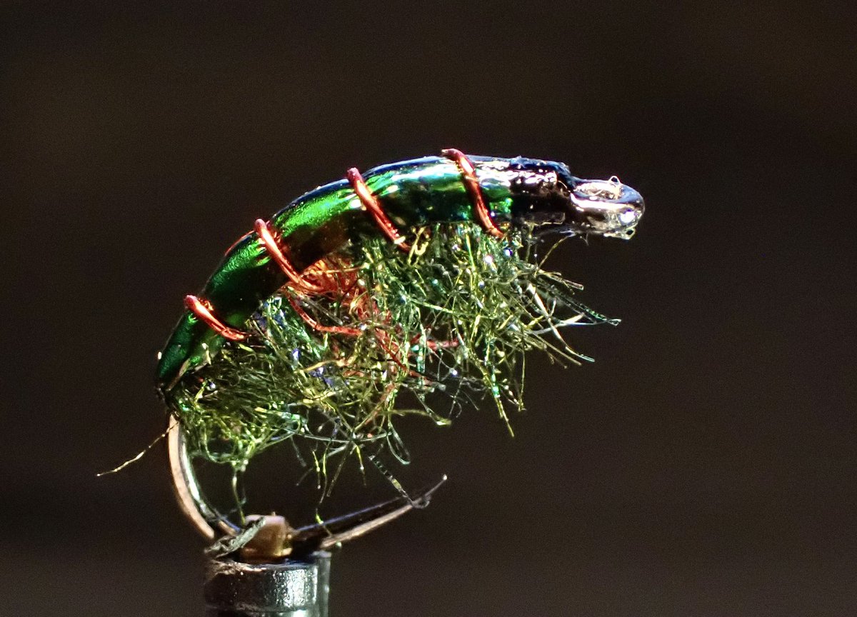ScottieFlyTying's tweet photo. Introducing the improved Sybai Magic Pearl Strips used for the shell back, Sybai UV dark Olive peacock dubbing for the body with Sybai Spectra red fine flash dubbing for the hot spot, tied on a Grip Caddis 14122BL #14
#flytying #chevronhackles #sybai #griphooks #mulletonthefly https://t.co/CZIFHyA2nK