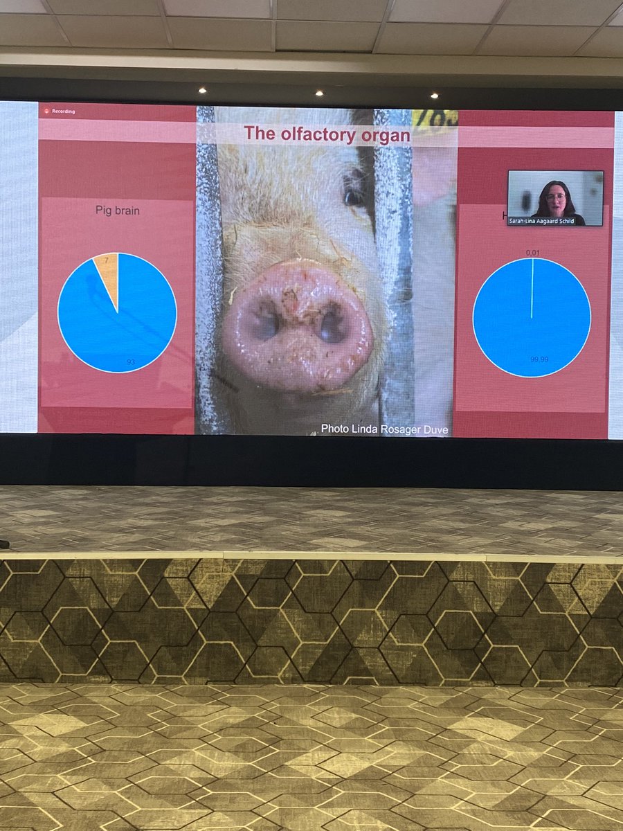 Maria Vilain Rørvang tweet media