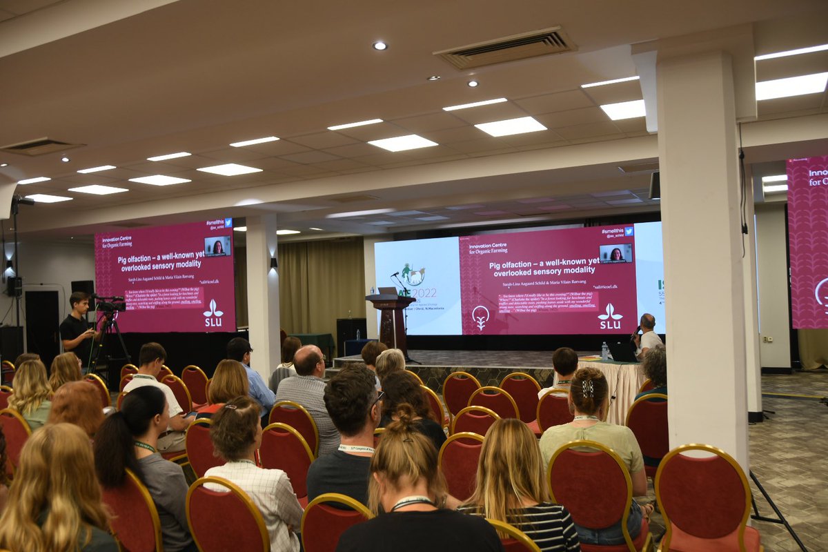 Maria Vilain Rørvang tweet media