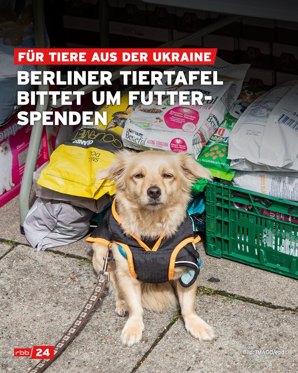 rbb24's tweet photo. Die #Berlin​er #Tiertafel bittet um weitere Futter-#Spenden für die #Haustiere von mehr als 500 Geflüchteten, die die Einrichtung derzeit unterstützt. Besonders benötigt wird #Nassfutter für #Hunde und #Katzen.
Mehr dazu: https://t.co/39hrk7ypaW https://t.co/zyUBldVerQ