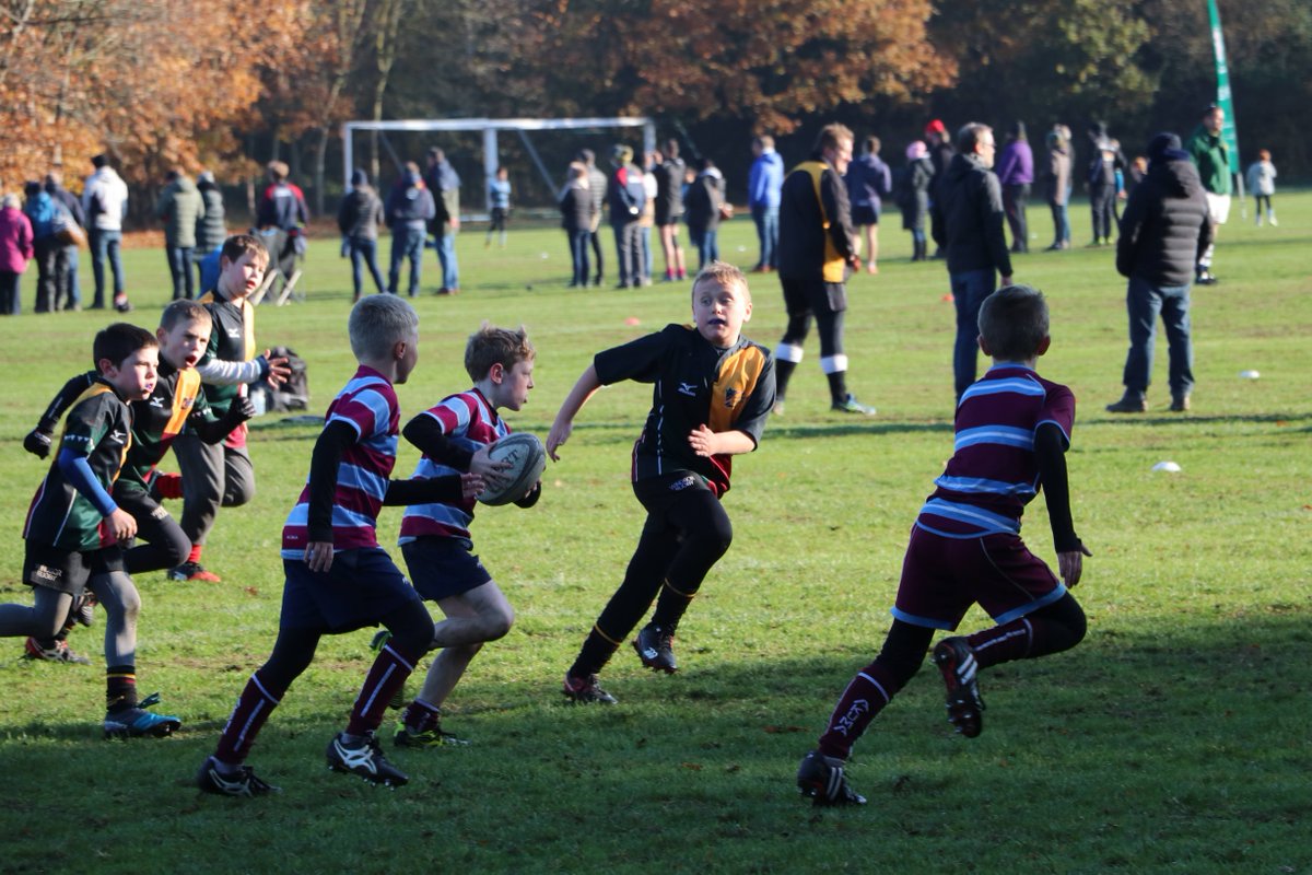 WINDSOR RUGBY CLUB: Minis Festival 2022 - mailchi.mp/windsorrugby/w…