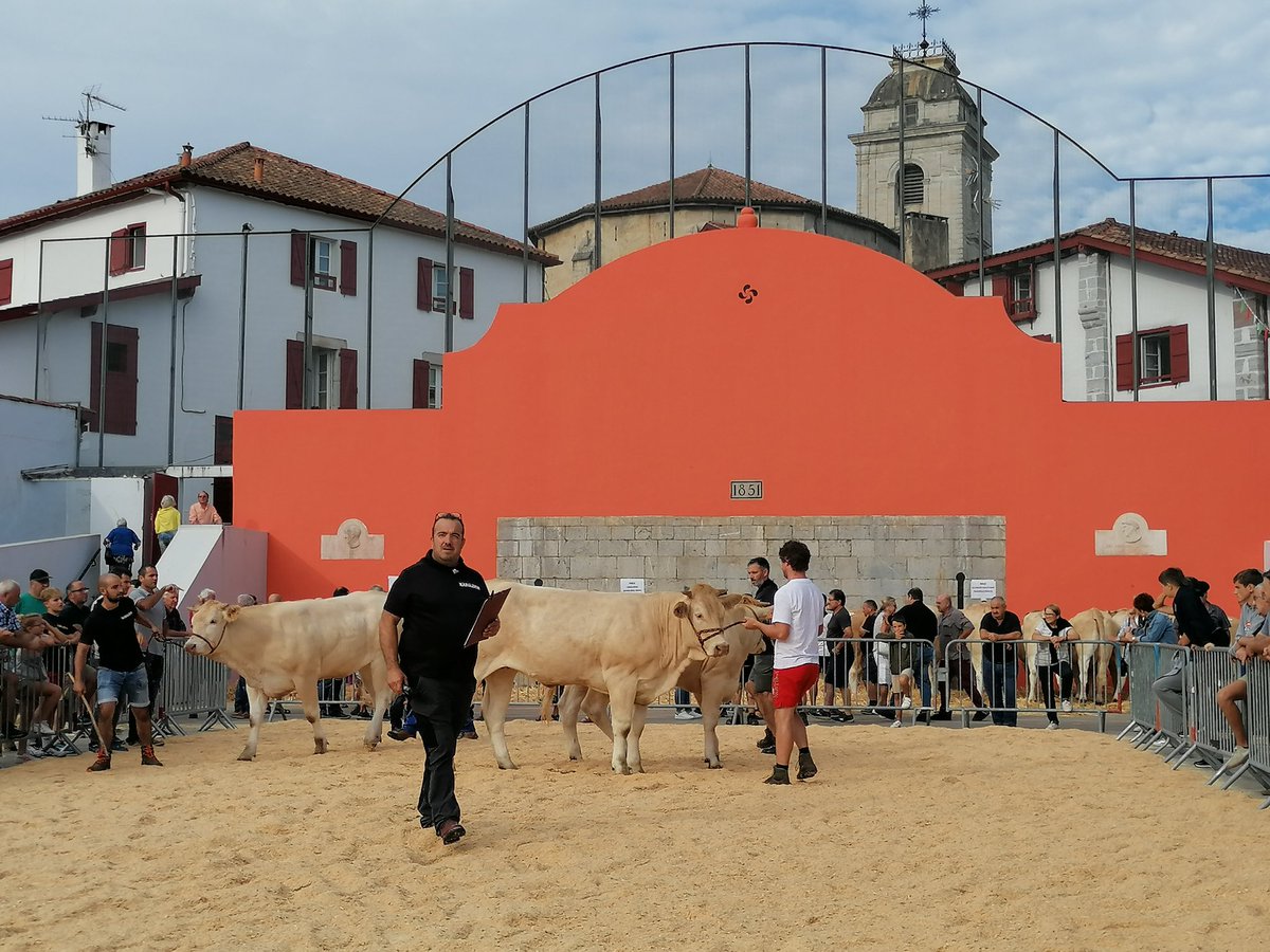 VDewitte's tweet image. Les choses sérieuses, sur la place du fronton...
#urrugne #bixintxo #agriculture #tradition