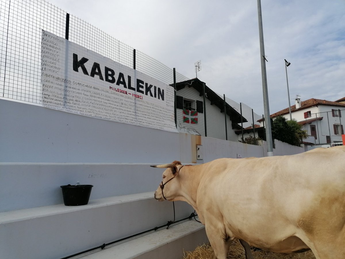 VDewitte's tweet image. Les choses sérieuses, sur la place du fronton...
#urrugne #bixintxo #agriculture #tradition