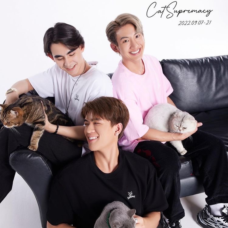 JossWayarofc's tweet photo. 3 หนุ่ม 3 เมี๊ยว มีโปรเจคอะไรน้าาา 

cr : ig toptap_jirakit
#TributeXJossWayar #josswayar #toptap_jirakit #drakelaedeke #TRIBUTE #트리뷰트 #ContributeWithTribute #CatSupremacy #기부로쇼핑 #TributeCollabs #OptToAdopt #straycatsofthailand https://t.co/Wr7JdtYLMN