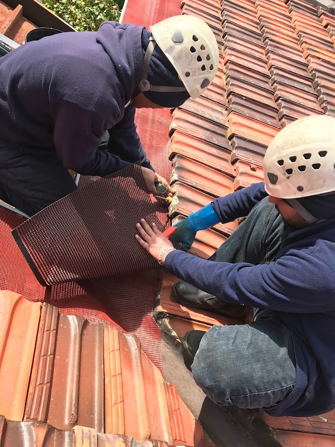 _leafbusters's tweet photo. One of the trickiest aspects of a gutter protection install is fitting the gutter mesh to the point where it meets the valley. Give us a call on 1300 GUTTER and talk to the pros today! https://t.co/aPlLILNmy0 https://t.co/G6S609KfSh