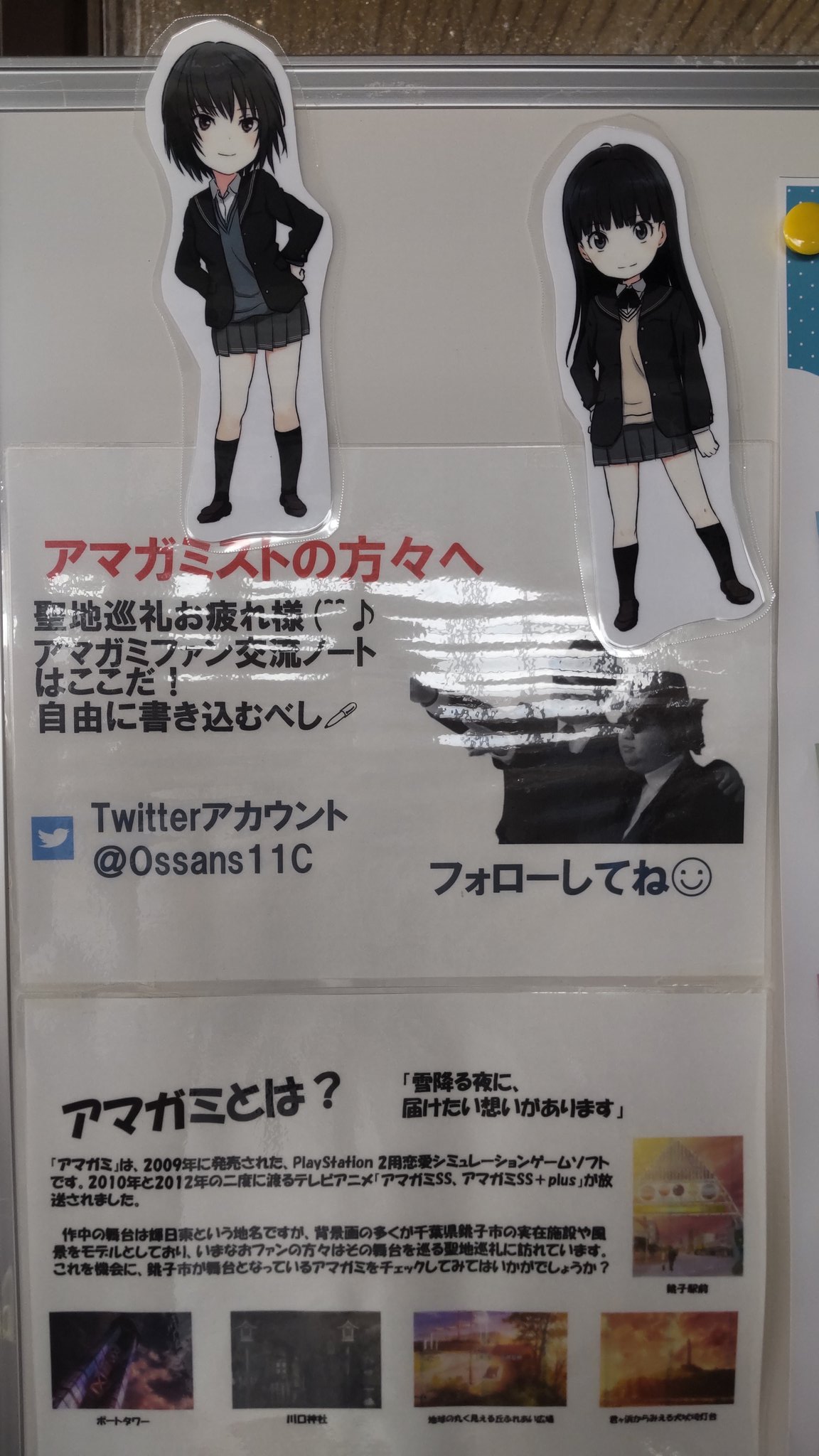 プレシャスメモリーズ アマガミSS+ 絢辻詞 金サイン 名塚 佳織