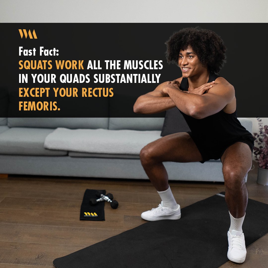 Get squatting Workout Meals Fam!🦵😊 #FastFact

#fitspo #fitfam #instafit #muscle #fitness #workout