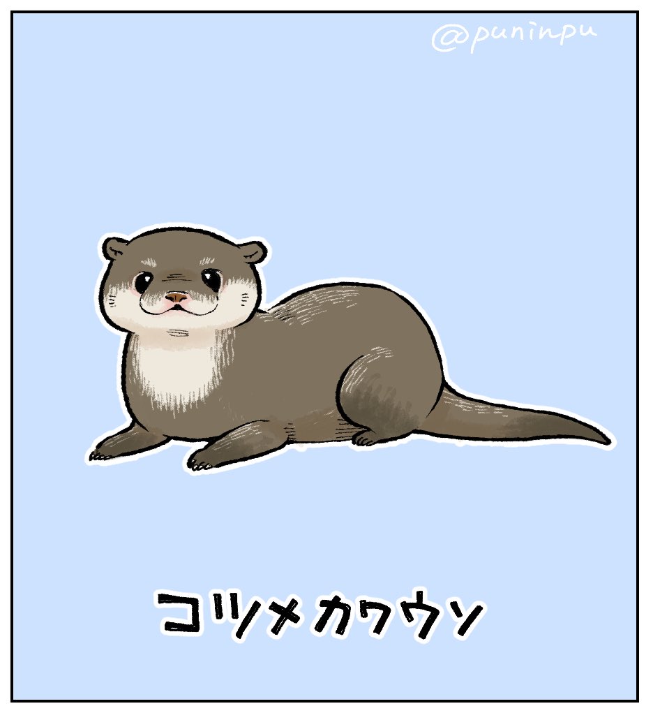 コツメカワウソと理詰めカワウソ 