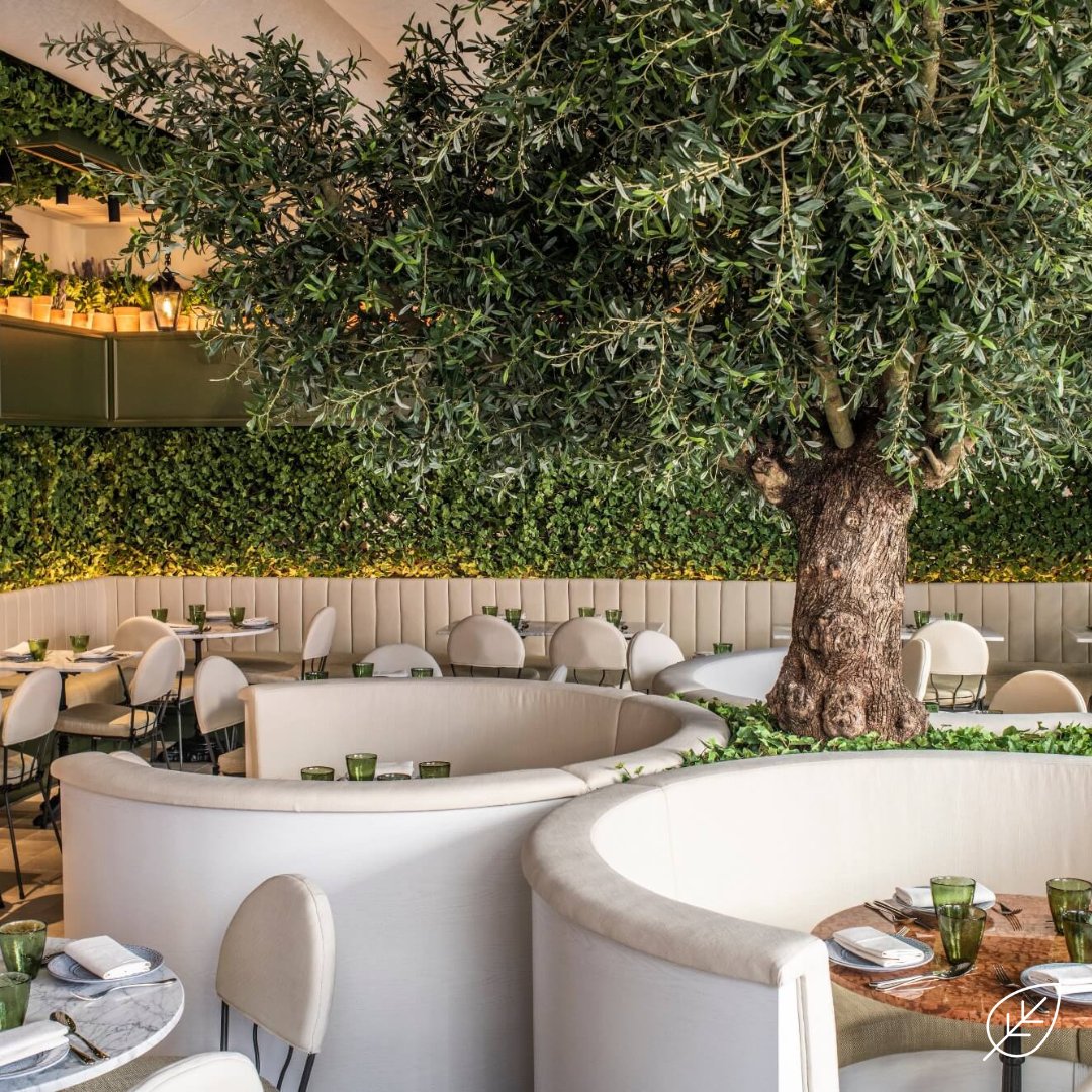 🟩🌿🌴

See how #TeamPlantPlan can transform your space! - 0800 279 3120 / info@plantplan.co.uk / plantplan.co.uk

#Officedesign #Officeplanting#Interiordesign #Biophilia #Plantingdesign