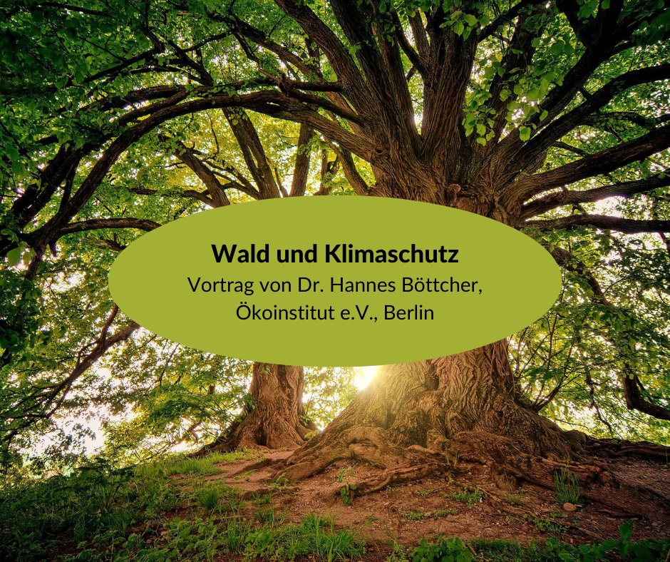 Senckenberg's tweet photo. 📢 Der nächste Vortrag der Reihe „650 Jahre Frankfurter Stadtwald“ steht an. Dr. Hannes Böttcher vom @oekoinstitut Berlin spricht über #Wald und #Klimaschutz. Sei dabei am 14. August um 19.30 Uhr im Grünen Hörsaal #Ffm.
👉 Zum Vortrag: https://t.co/fFln2rVSJ2 https://t.co/LKKHs4fuZf