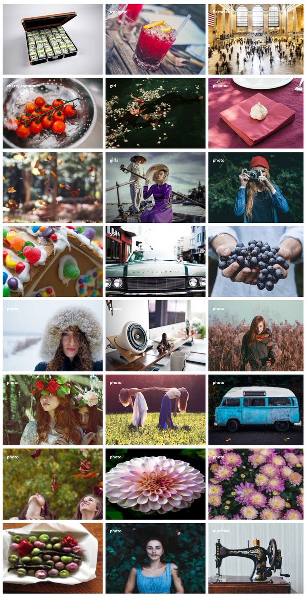 farazfrank777's tweet photo. GRID GALLERY – IMAGE, PHOTO SLIDER GRID, GOOGLE-TYPE GRID
Create unlimited grid galleries using this FREE plugin.
Download Plugin: https://t.co/SAwQ3761zd
#Gridgallery #PhotoGallery #WordPress https://t.co/JFKMUnCIXd