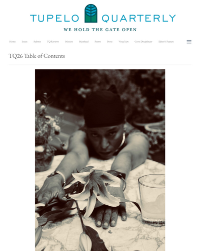 Duotrope tweet media