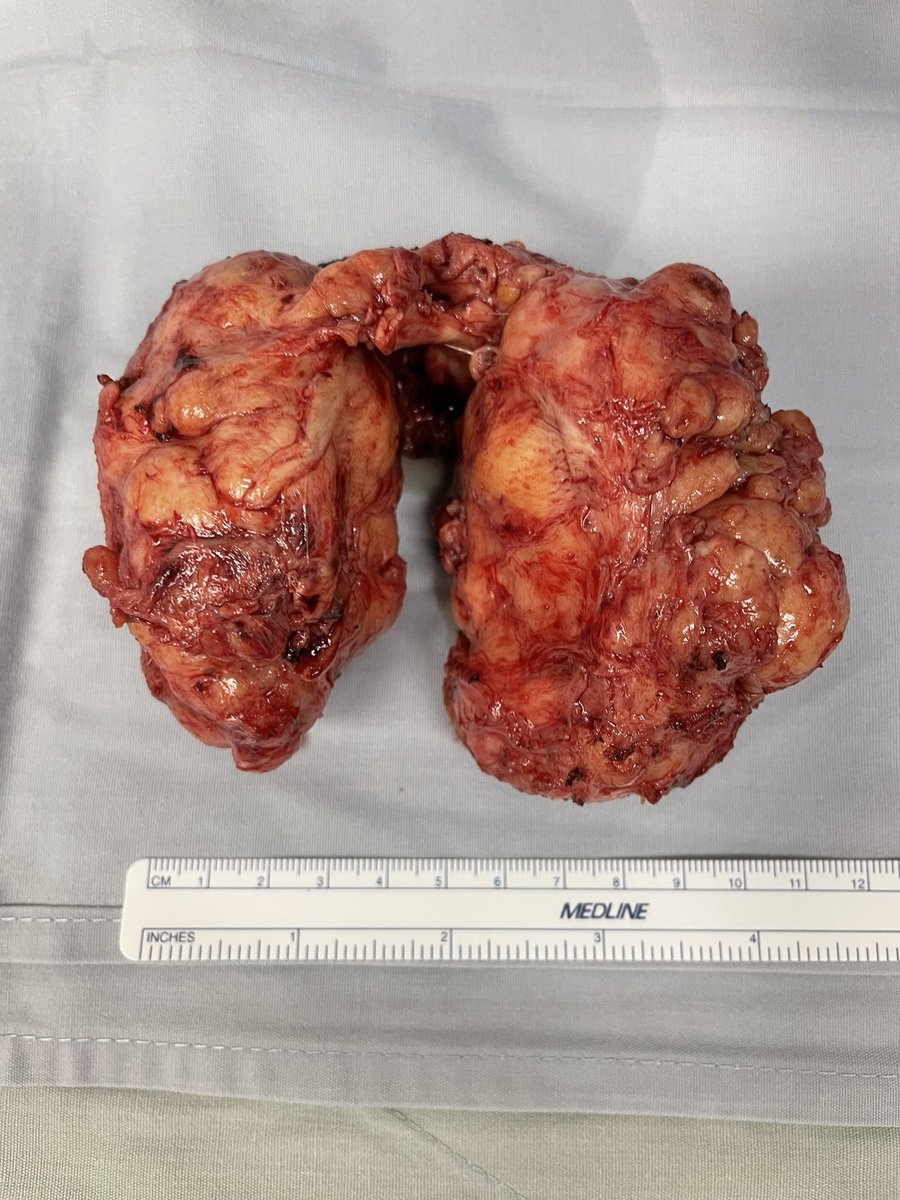 Albert El Hajj, MD tweet media