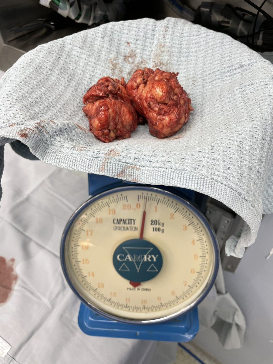 Albert El Hajj, MD tweet media