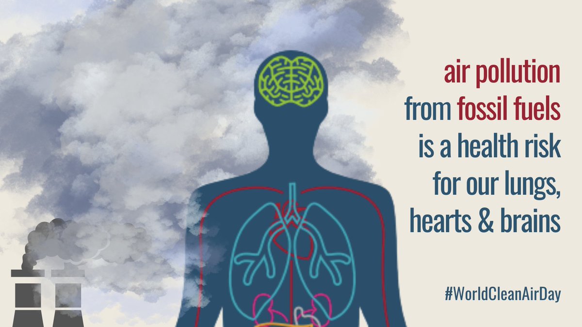 GCHAlliance's tweet image. On #WorldCleanAirDay health professionals call to #EndFossilFuels to solve #AirPollution crisis.

We invite colleagues &amp;amp; medical experts to join their demand for a #FossilFuel Non-Proliferation Treaty.

Learn + &amp;amp; sign: fossilfueltreaty.org/health-letter
#FossilFuelTreaty for #HealthyAir