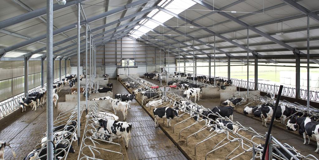 Onzeker of #emissiearme melkveestallen doen wat ze beloven, terwijl Europese natuurbeschermingsregels zekerheid eisen. Dit bemoeilijkt vergunningverlening, maar de natuurbeschermingsregels waaraan NL zich heeft gebonden, laten andere uitkomst niet toe. raadvanstate.nl/actueel/nieuws…