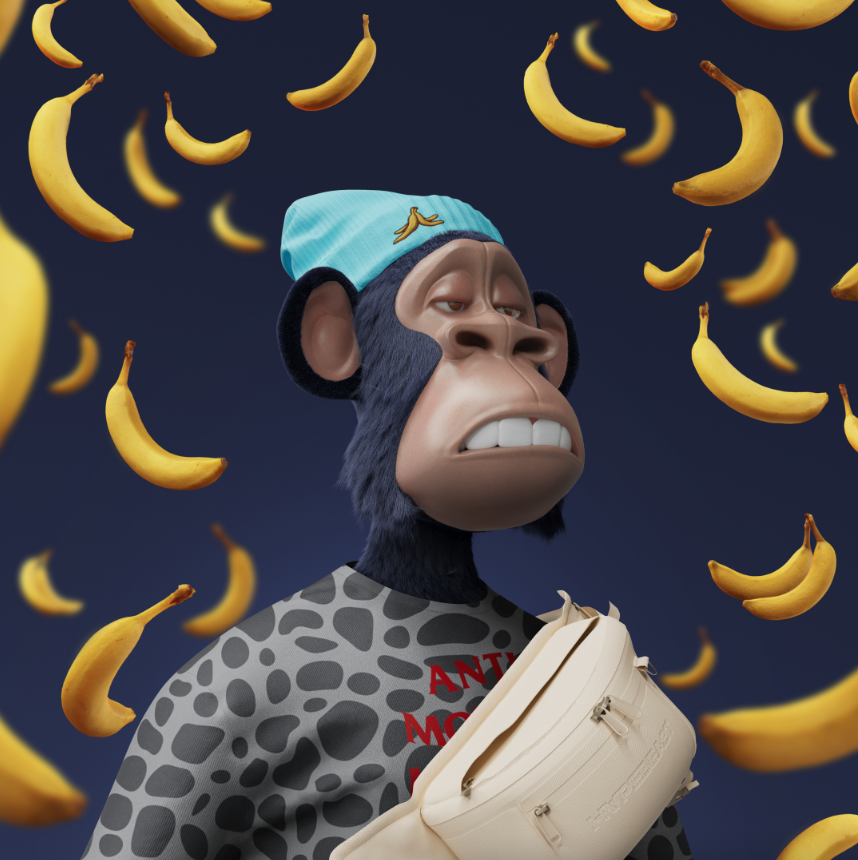 Went on a little shopping spree today on my favourite NFT collection <a href="/HAPEsocial/">I Iape®</a> by <a href="/DigimentalLDN/">| Digi |ape®.eth</a>. I think #hapefollowhape still works, right? 
Who's excited for the Airdrops (yes, plural)?