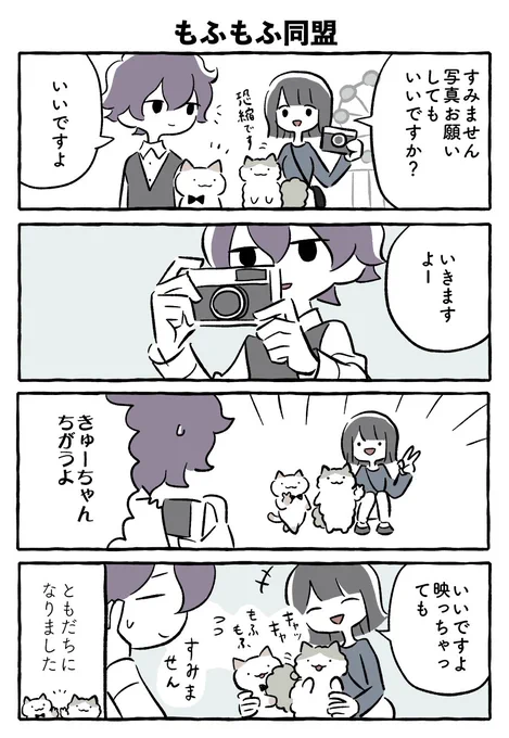 写真 