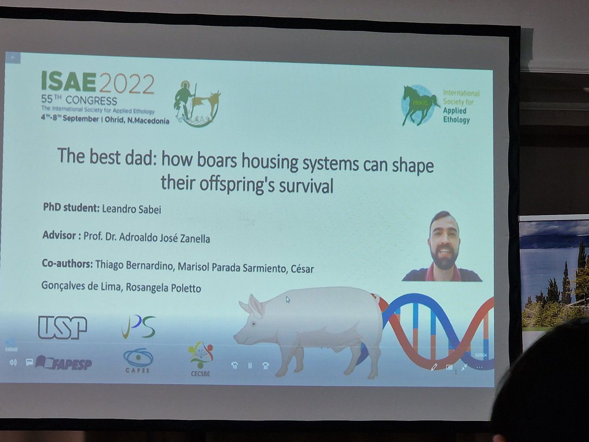 HerskinMette's tweet photo. Very interesting presentation this morning at #isae2022, by @LeandroSabei, focusing on housing systems for breeding boars. #AnimalWelfare https://t.co/ghHc5EJtGd