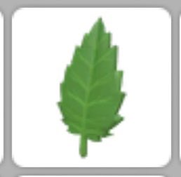 ❤️GIVEAWAY❤️ 
Giving away leaf 1 winner 
•like 
•retweet 
•follow me 
#giveaway #adoptme #Adoptmetrades #adoptmegiveaway #roblox #robloxgiveaways