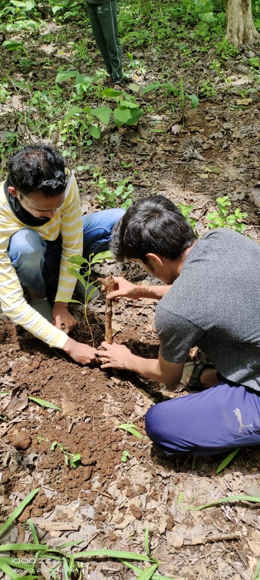 Gouranga2000's tweet photo. Do not let #EnviornmentDay be the only day to plant trees, rather pledge to mark every occasion with planting a tree. #YouthVeerangnayen Bishnupur marked the occasion with #TreePlantation#EnvironmentDay2021 
#keep_environment_clean
#विश्व_पर्यावरण_दिवस_की_हार्दिक_शुभकामनाएं https://t.co/KH6M1nMng5