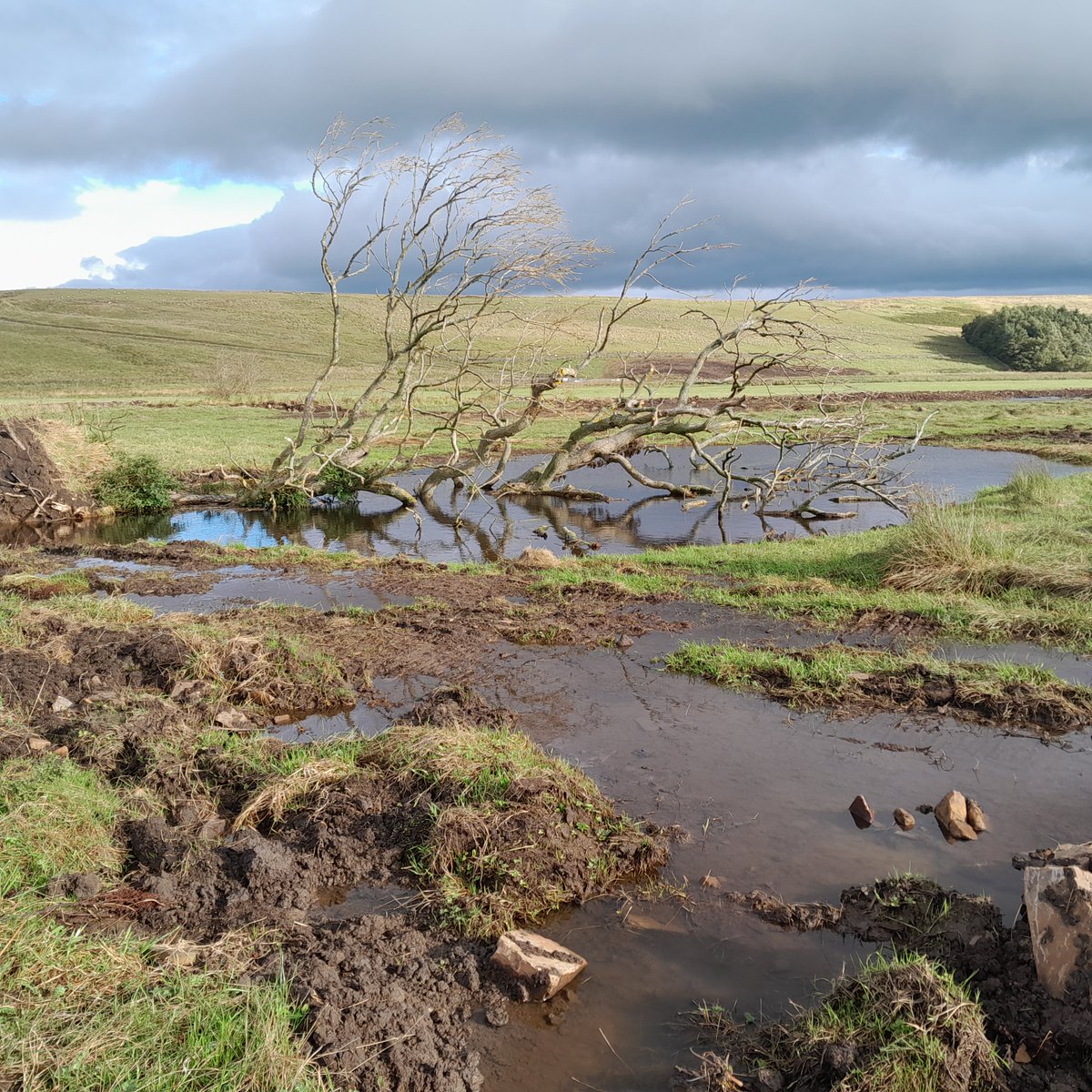 jen_selvidge's tweet photo. The flowing wetland looking great this morning - #Geltsdale all this, in addition to the new sinuous channel! So much water on site considering the amount of rainfall. Excited to see how this part of the river develops over time. Roll on Spring #Waders    @Dynamic_Rivers https://t.co/38WLiX2FSy