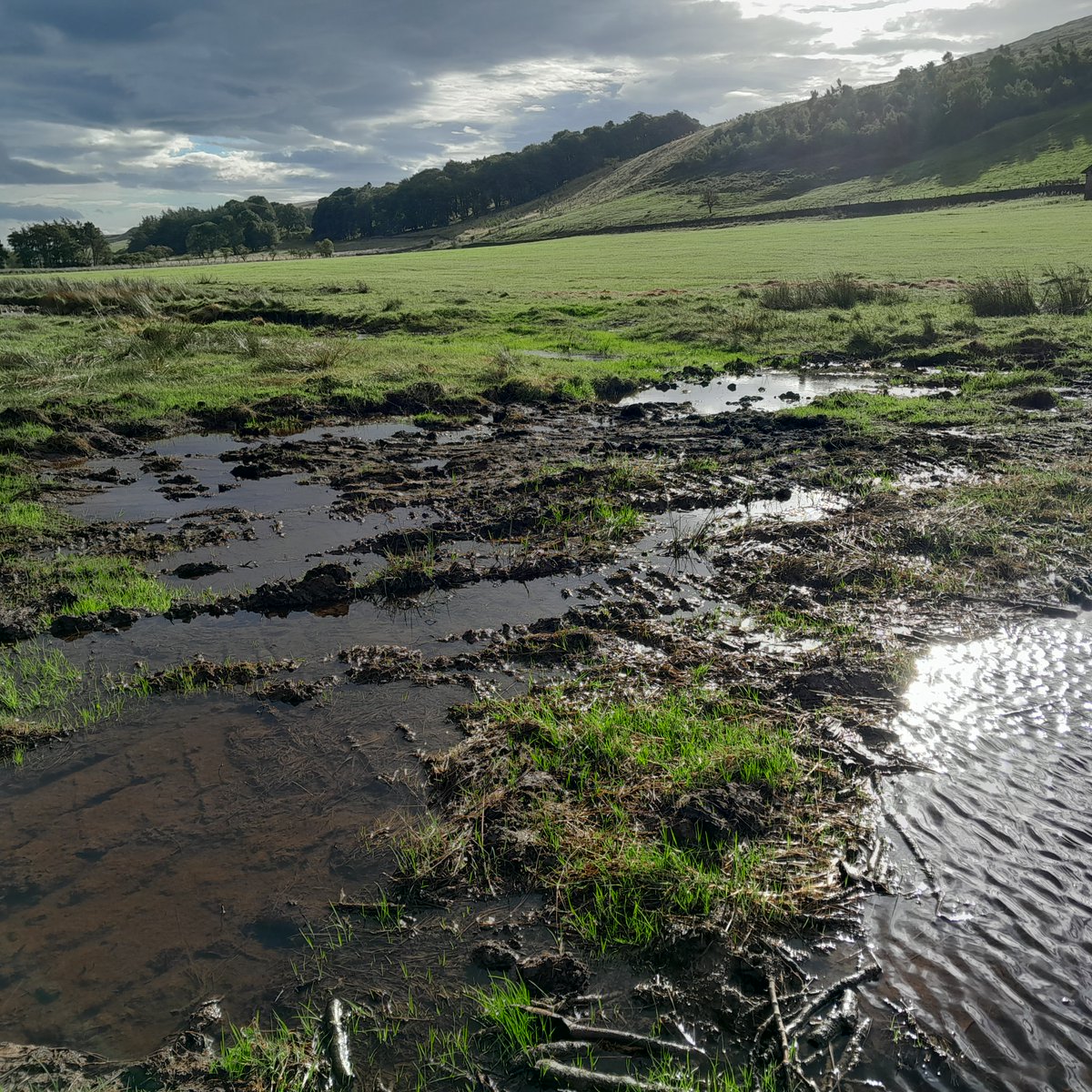 jen_selvidge's tweet photo. The flowing wetland looking great this morning - #Geltsdale all this, in addition to the new sinuous channel! So much water on site considering the amount of rainfall. Excited to see how this part of the river develops over time. Roll on Spring #Waders    @Dynamic_Rivers https://t.co/38WLiX2FSy