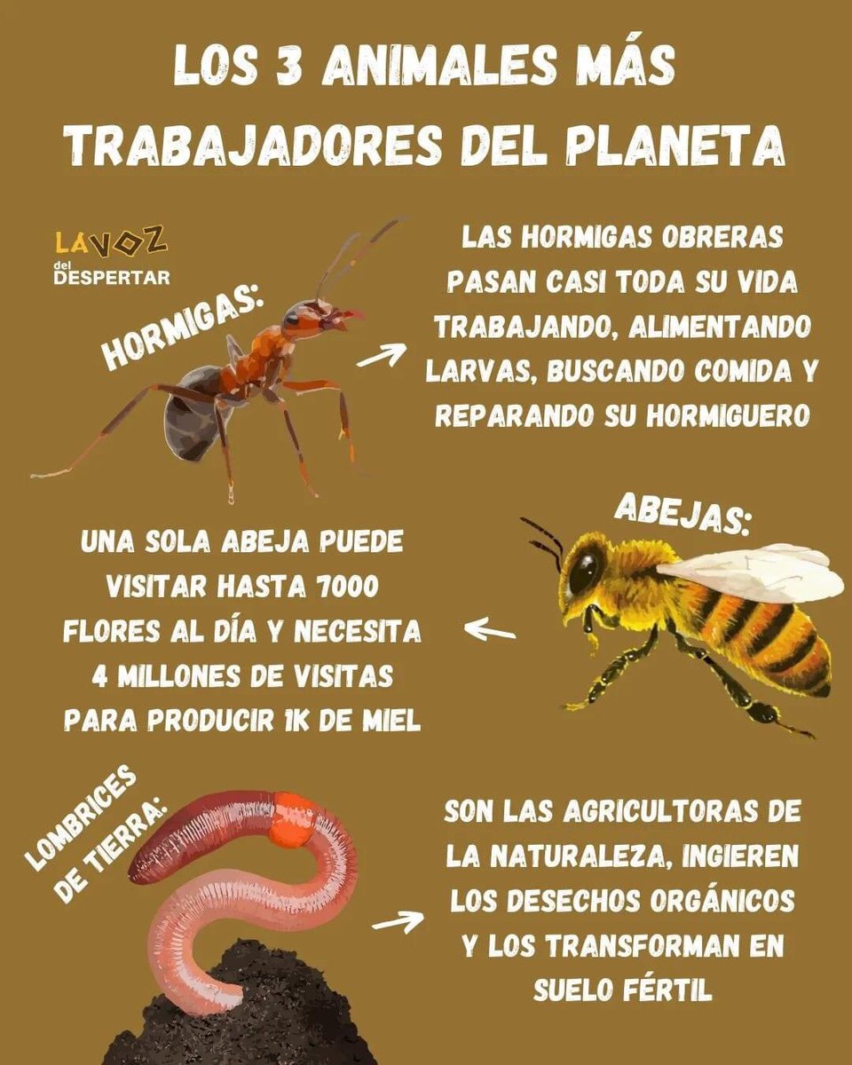 Nancy Blanco tweet media