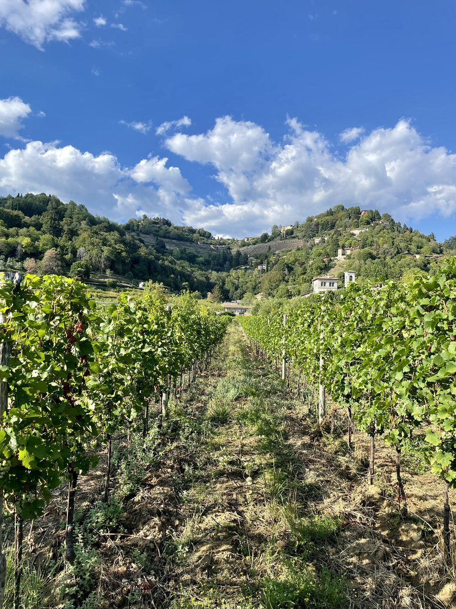davide_zarri's tweet photo. Just 10 mins away from Bergamo downtown, surrounded by the Bergamo’s Hills Park, the #Astino Valley is a magnificent 60-hectare piece of land of absolute natural value.
#EUFoodCities #Food2030 https://t.co/RZXhSTFMkq