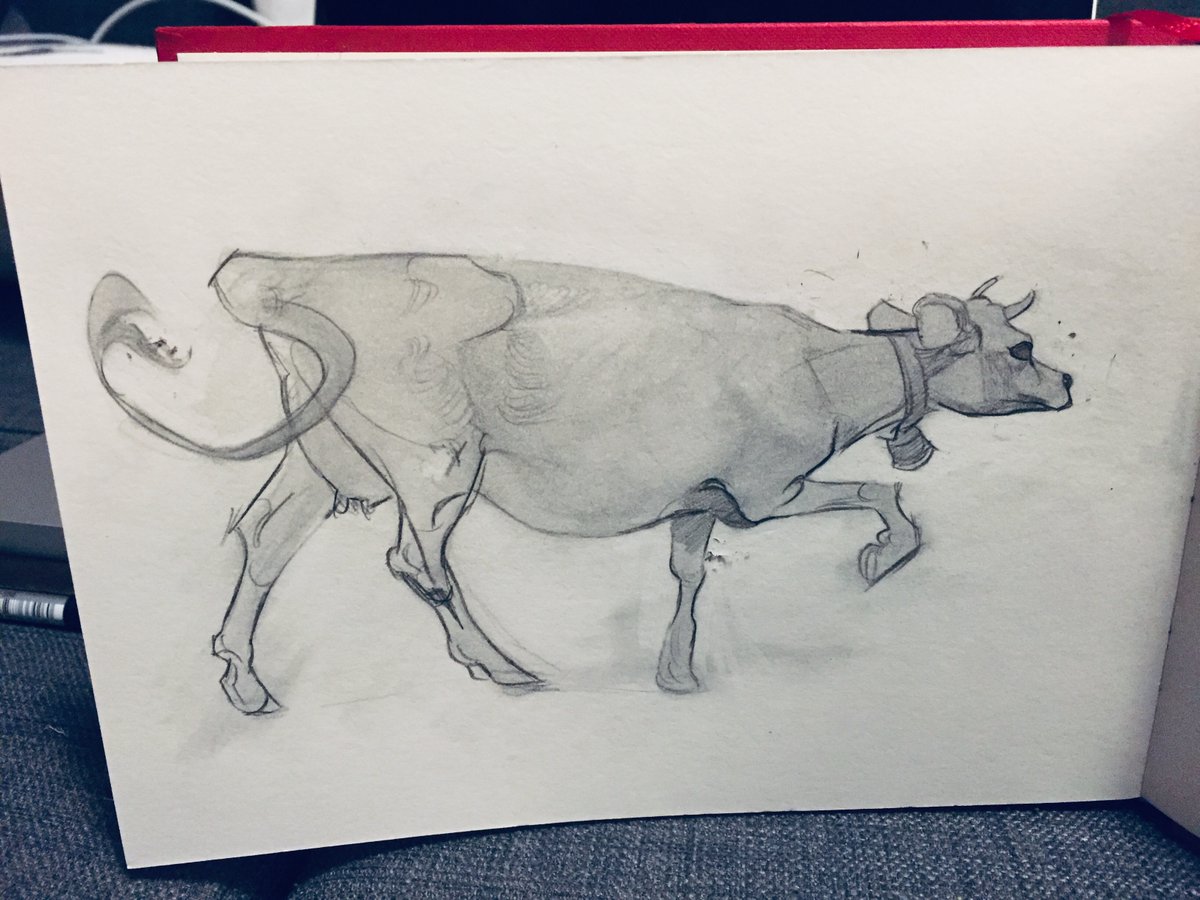 - A cow from a swiss alp field -