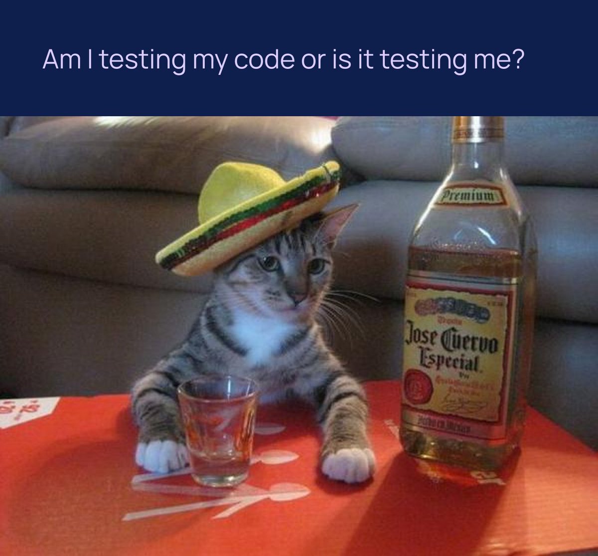 Codenga_com's tweet image. tester&apos;s hard life 😓

#codenga #itjokes #devjokes #onlinelearningplatform #programminghumor #programing #developerslife #programmingjokes #programmingisfun