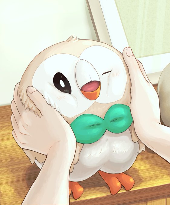ただいま～ のモフッ!#ポケモンイラスト #モクロー 