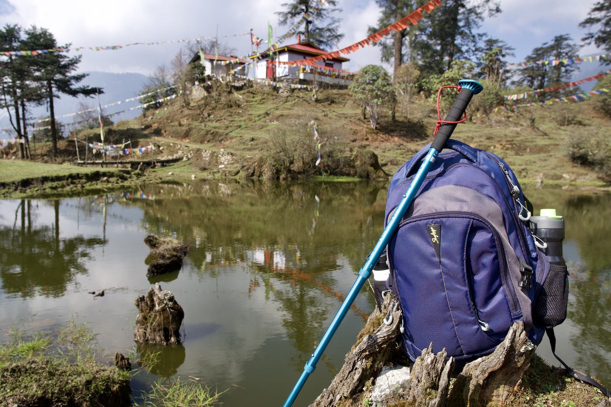lnortheastindia's tweet photo. 1/2 Eco-Friendly North East India Stays – Why You Should Consider It and What to Expect
Green tourism and eco-friendly vacations are becoming more popular as a way to combat this.
https://t.co/g4Em38HwrS https://t.co/5rOdREfTx9