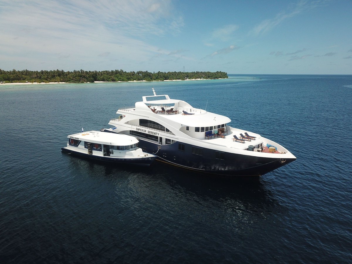 EmperorDivers tweet media