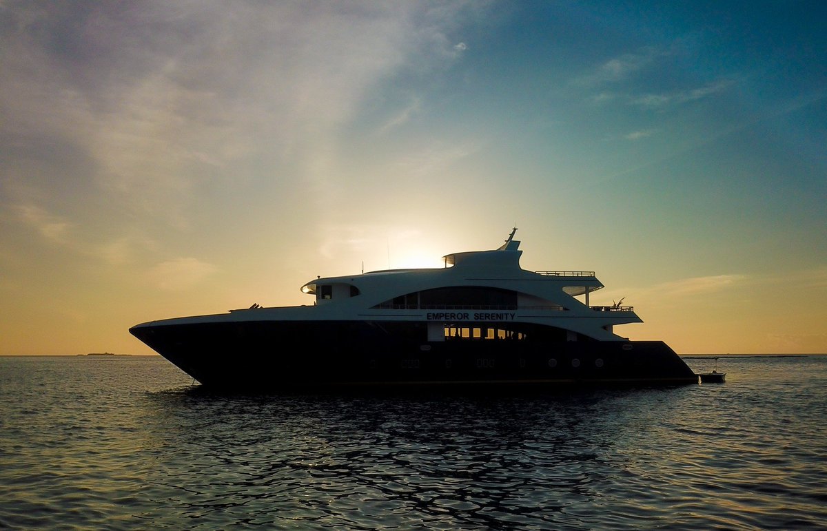 EmperorDivers tweet media