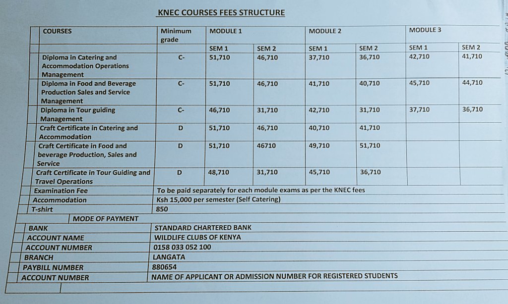 cttrcollege's tweet photo. Sijui nisome nini ?

Worry no more, we got you!

At CTTR we offer;

#school #langata #rongai #kenya #college https://t.co/MY6eDb2VcQ