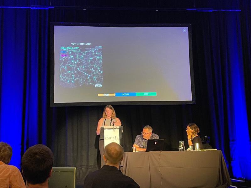 sciencesopha's tweet photo. my presentation yesterday during the gastrointestinal section of #ZDM15 🐟 https://t.co/LYq93xENrt