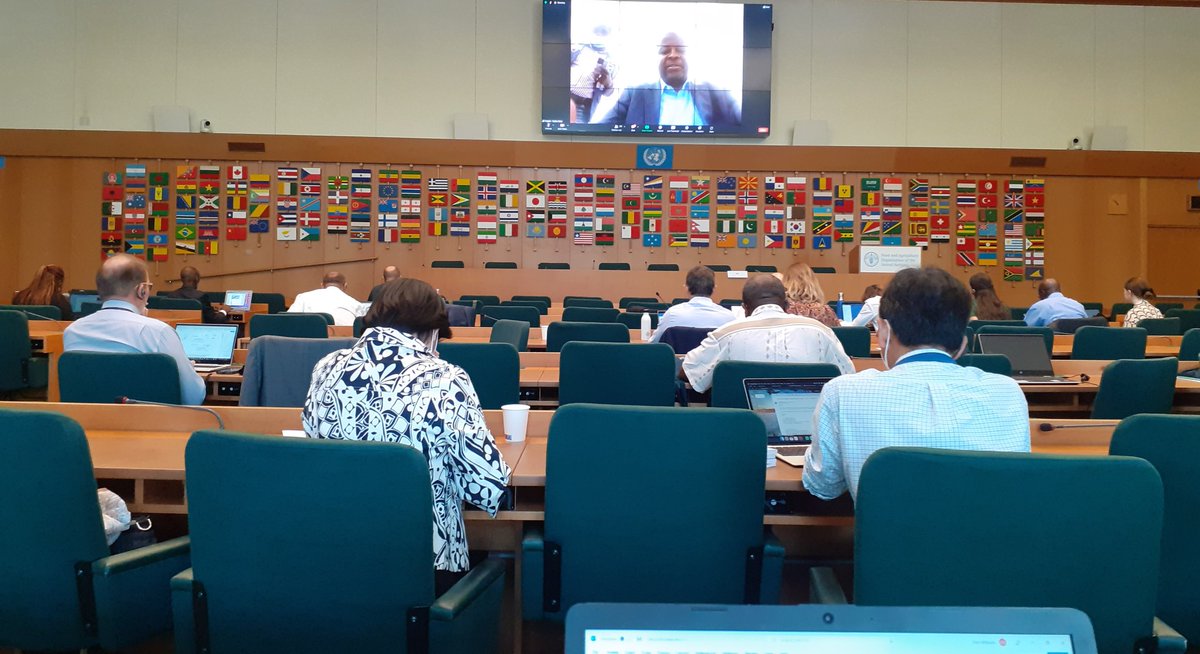 MarineEconomics's tweet photo. Resounding support for the fight against #IUU #fishing from around the world at @FAOfish #COFI35
🌍🌎🌏 day 3
@ITFglobalunion in attendance and looking forward to the discussions on the fisheries mgmt sub cttee.
#workinfishing https://t.co/9tbHrjh987