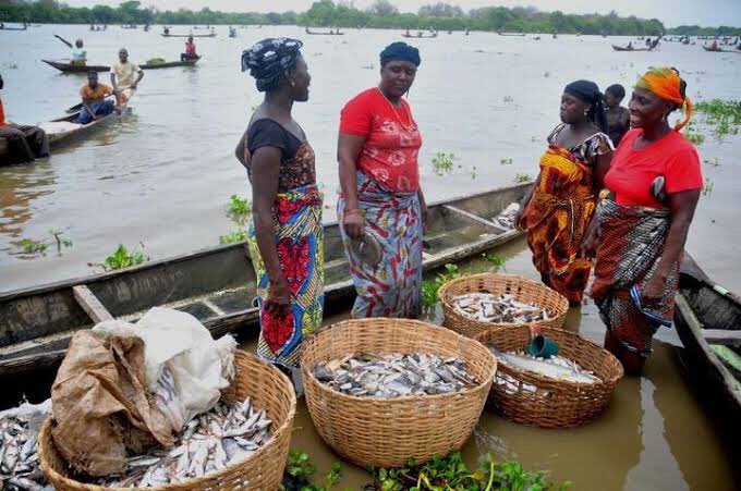 nigerdeltafest's tweet photo. Women occupy a larger part of those carrying out fishing roles in Ijawland. Before now, among the items highlighted on their dowry list are canoe, fishing net and paddle to be made available by the groom’s family. 

This is to enable them become productive in their new home. 👏 https://t.co/UP2ZuoiaFD