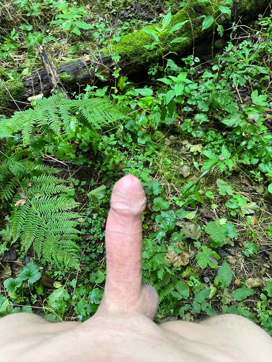 SonntagRicky's tweet photo. Nature cum 😏 https://t.co/KvzQpioqzW