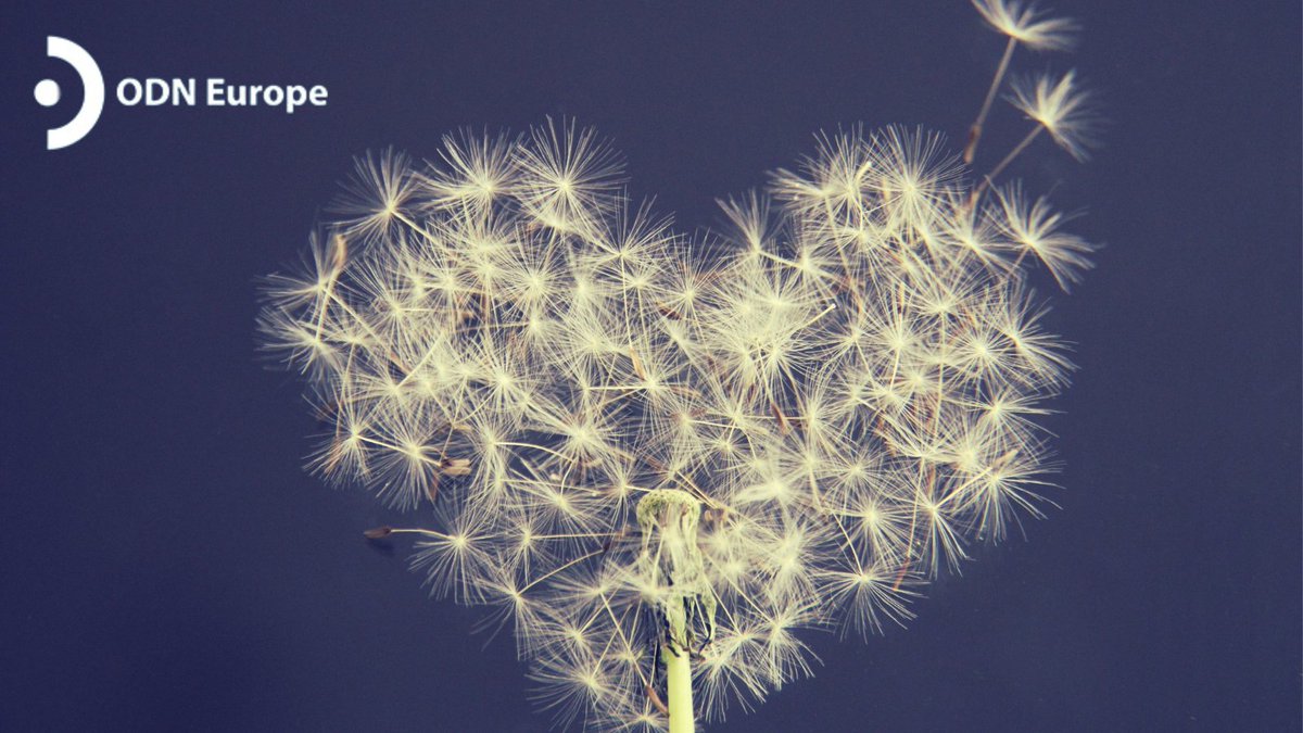 ODN_Europe's tweet photo. By investing in ODN Europe you will be at the heart of an organisation which promotes the highest professional and ethical standards, innovation and thought leadership. info@odneurope.org. #OD #ODNEurope #ODNetwork https://t.co/DTbwiPIdLd