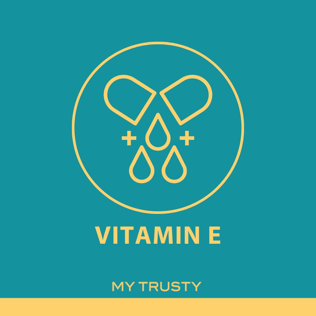 My_Trusty's tweet photo. My Trusty skincare products are packed full of Vitamin E which is able to penetrate deep into your skin to help preserve lipids (fats) and soothe your skin 🍃

🔗 Find out more - https://t.co/lWMknifvB1

#MyTrusty #Skincare #BodyLotion #HandCream #BodyButter #Natural #NHS https://t.co/6gW5PM7Kr6