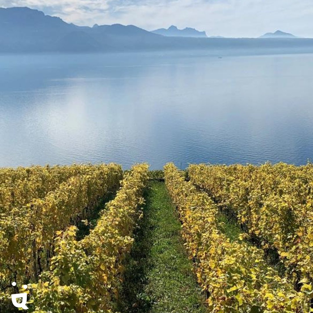 Helvetiq's tweet photo. New! 🍷🥾 https://t.co/PxX2oXTc2S