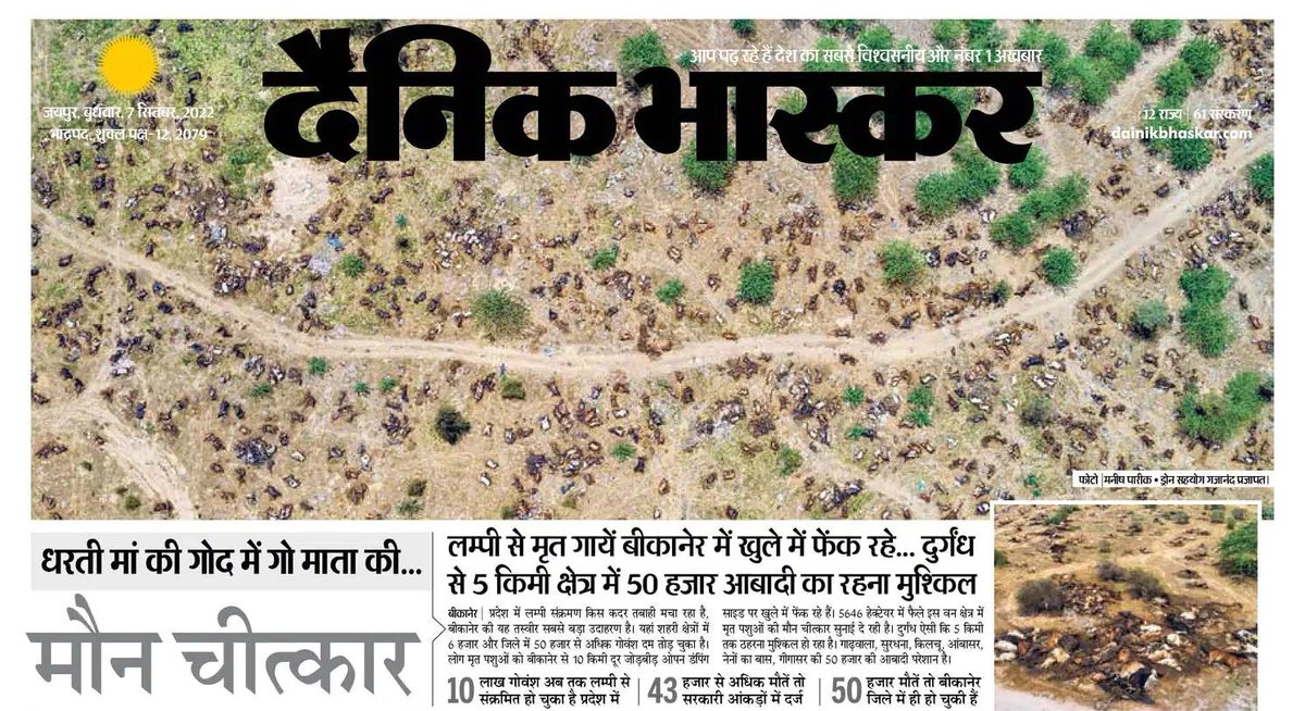 भारतीय संस्कृति में जिस गाय को 'मां' की संज्ञा दी गई है, उसका ऐसा हश्र अब तक कभी नहीं हुआ। राजस्थान की कांग्रेस सरकार लंपी संक्रमण से गाय को बचाने के लिए ना तो उपचार की व्यवस्था कर रही है और ना ही उन्हें मरने के बाद दो गज जमीन मिल रही है।

#lumpyskindisease #SaveCows #Rajasthan
