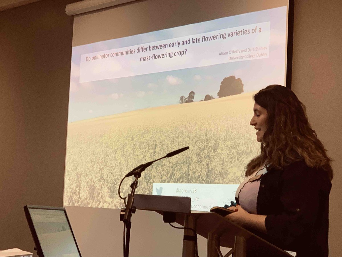 AABiologists's tweet image. Alison O'Reilly @aoreilly28 introducing her PhD research on pollinator abundance on spring and winter OSR and the impact of pesticide application @SUSPOLL_ire @ucddublin #Pollinators22