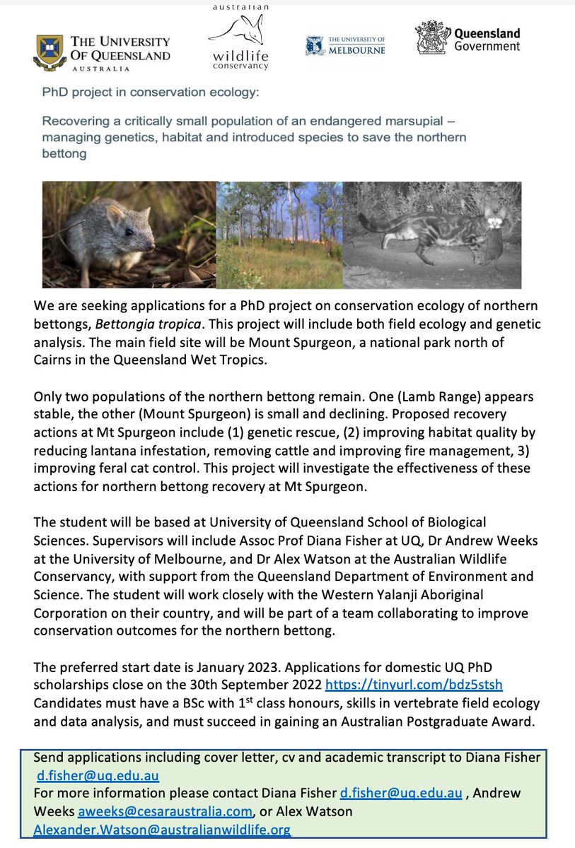 A PhD project on northern bettong conservation with me #UQ @awconservancy #UoM Qld DES and Western Yalanji Aboriginal Corporation @AusMammals @andrewrweeks #ThreatenedSpeciesDay2022. A supportive and effective recovery team backs this important project