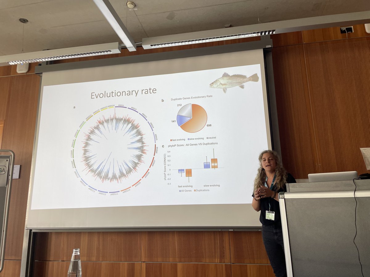 astrid_boehne's tweet photo. Literally diving into comparative genomics with @TerezaManousaki from @HcmrImbbc talking about teleost fish genomes helping inform aquaculture management and understanding invasion @DeRGAbiodiv #dergaverse https://t.co/Ioorn2ki22