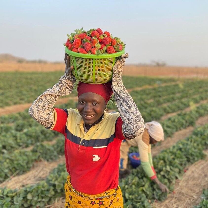 AkezaGermaine's tweet image. "It is no longer acceptable that the people who produce bulk of the food we eat still live in poverty"
Agree?
#AGRF2022